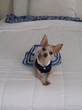 Meet your Posher, Robyn